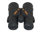 Binoculars Steiner Cobra 10x42