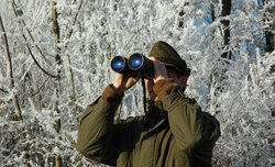 How do we test binoculars?