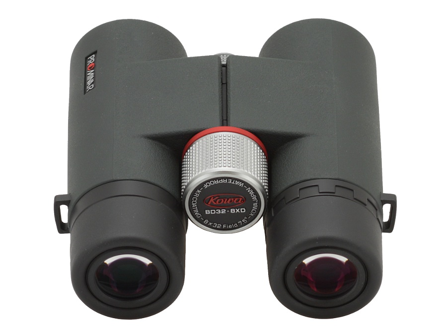 Kowa BD 8x32 XD Prominar - binoculars review - AllBinos.com