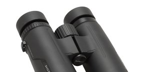 Olympus 8x42 PRO