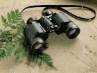 Binoculars Nikon 8x35CF Gold Sentinel