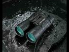 Binoculars Vixen Apex Pro 8x32 DCF