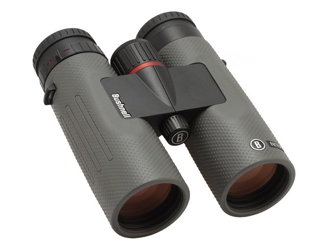 Bushnell Nitro 10x42