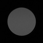 Carl Zeiss Terra ED 8x42 - Vignetting - Right