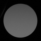 Carl Zeiss SFL 10x50 - Vignetting - Left