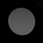 Delta Optical Forest 10x42 Gen3 - Vignetting - Left