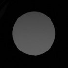 Delta Optical Forest 10x42 Gen3 - Vignetting - Right