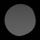 Delta Optical Forest 8x42 Gen3 - Vignetting - Right