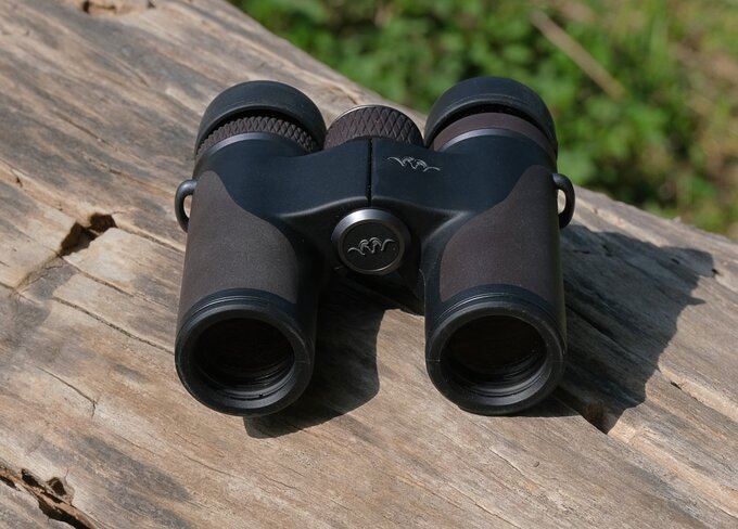 Blaser Primus 8x30 or the story of a donkey between two bundles of hay - Blaser Primus 8x30 vs Nikon 8x30 E II vs Steiner NightHunter 8x30 XP vs Swarovski CL Companion 8x30 B