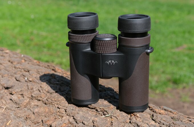 Blaser Primus 8x30 or the story of a donkey between two bundles of hay - Blaser Primus 8x30 vs Nikon 8x30 E II vs Steiner NightHunter 8x30 XP vs Swarovski CL Companion 8x30 B