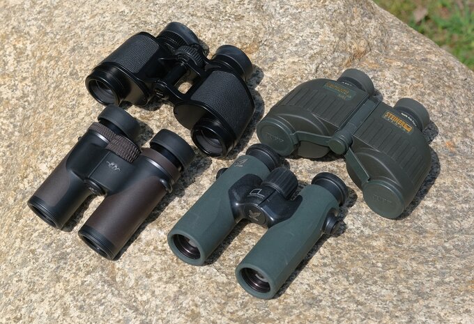 Blaser Primus 8x30 or the story of a donkey between two bundles of hay - Blaser Primus 8x30 vs Nikon 8x30 E II vs Steiner NightHunter 8x30 XP vs Swarovski CL Companion 8x30 B