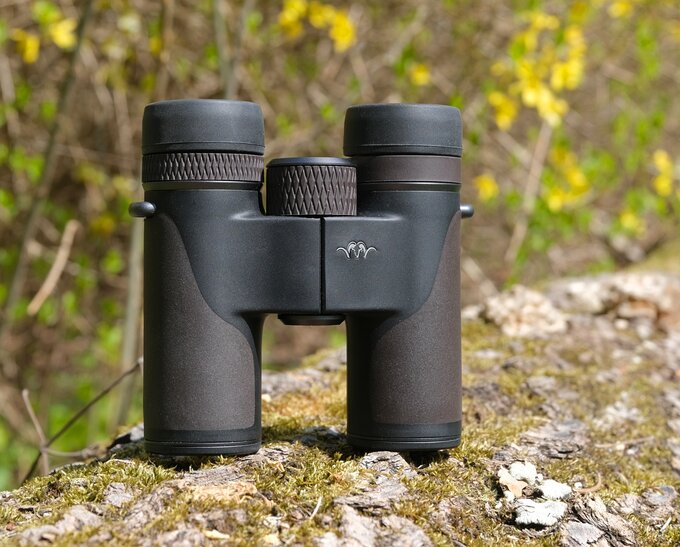 Blaser Primus 8x30 or the story of a donkey between two bundles of hay - Blaser Primus 8x30 vs Nikon 8x30 E II vs Steiner NightHunter 8x30 XP vs Swarovski CL Companion 8x30 B