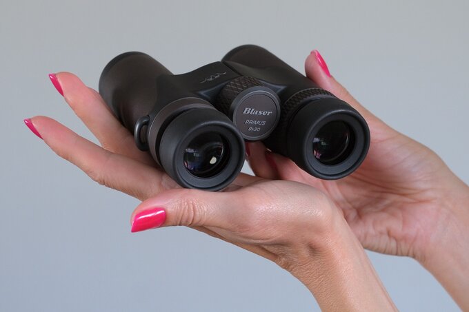 Blaser Primus 8x30 or the story of a donkey between two bundles of hay - Blaser Primus 8x30 vs Nikon 8x30 E II vs Steiner NightHunter 8x30 XP vs Swarovski CL Companion 8x30 B